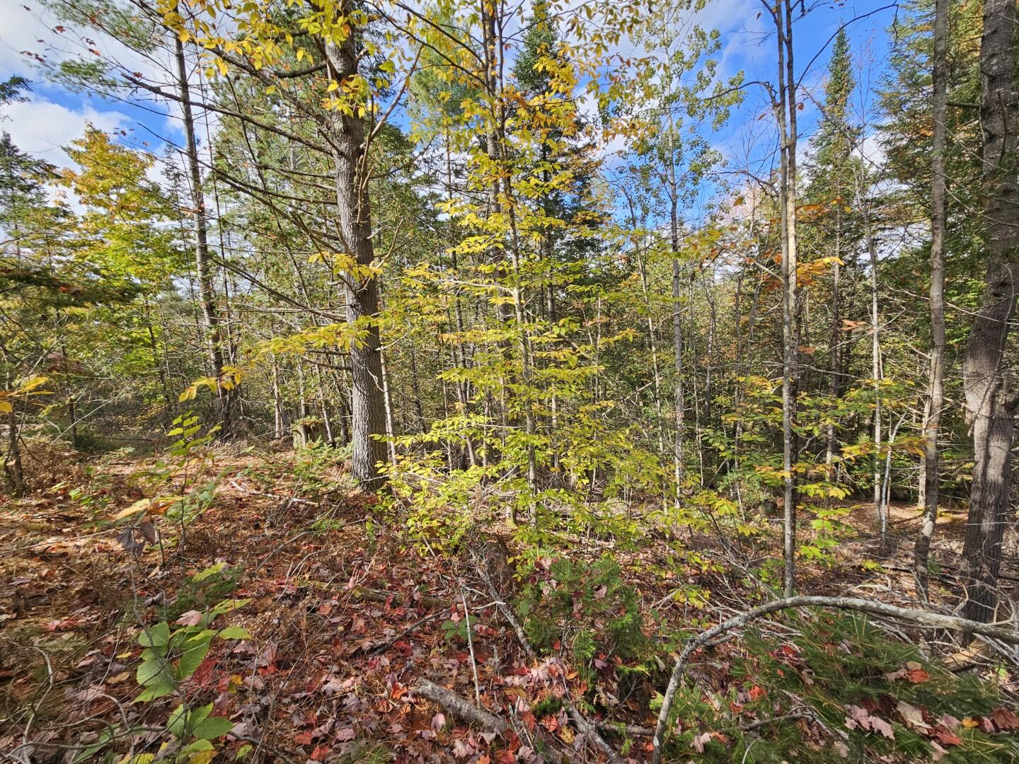 6 Old Schoolhouse Road Norridgewock ME 04957