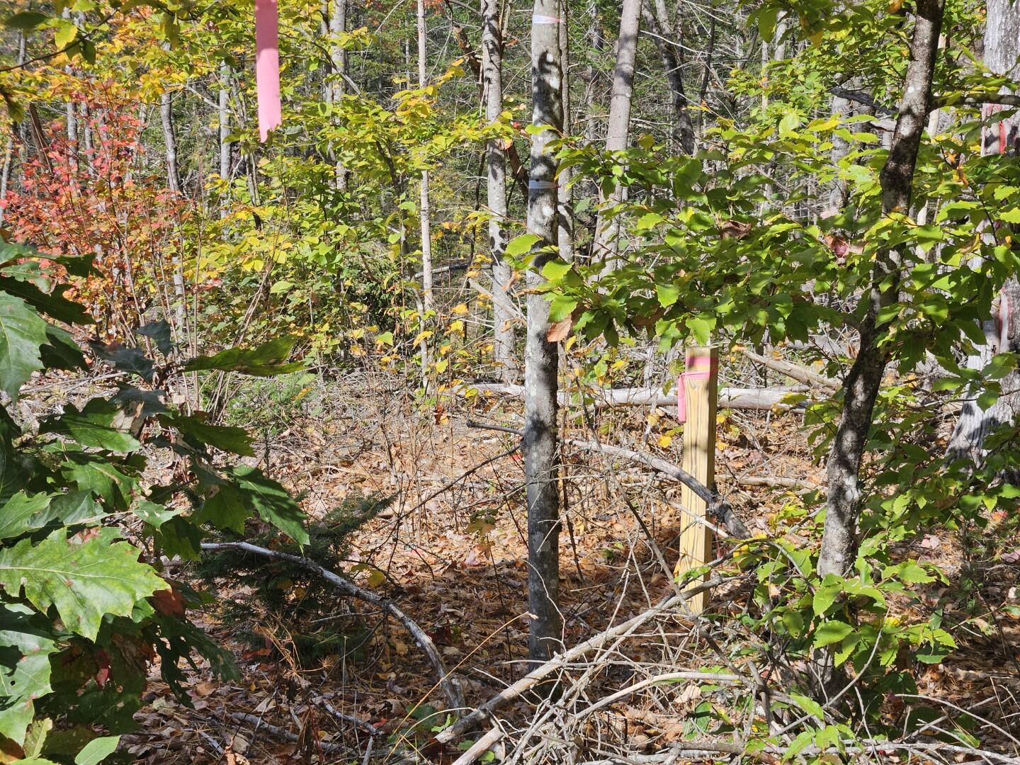 6 Old Schoolhouse Road Norridgewock ME 04957