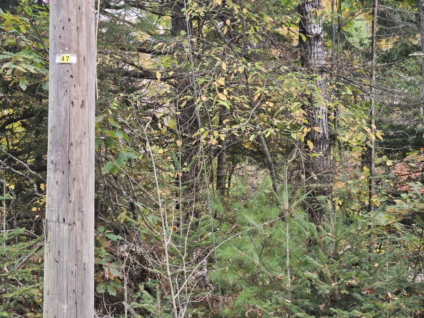 6 Old Schoolhouse Road Norridgewock ME 04957