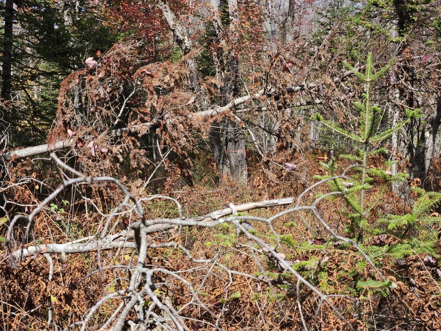 6 Old Schoolhouse Road Norridgewock ME 04957