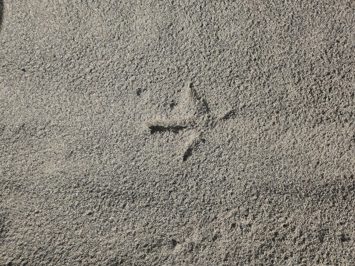 6 Old Schoolhouse Road Norridgewock ME 04957