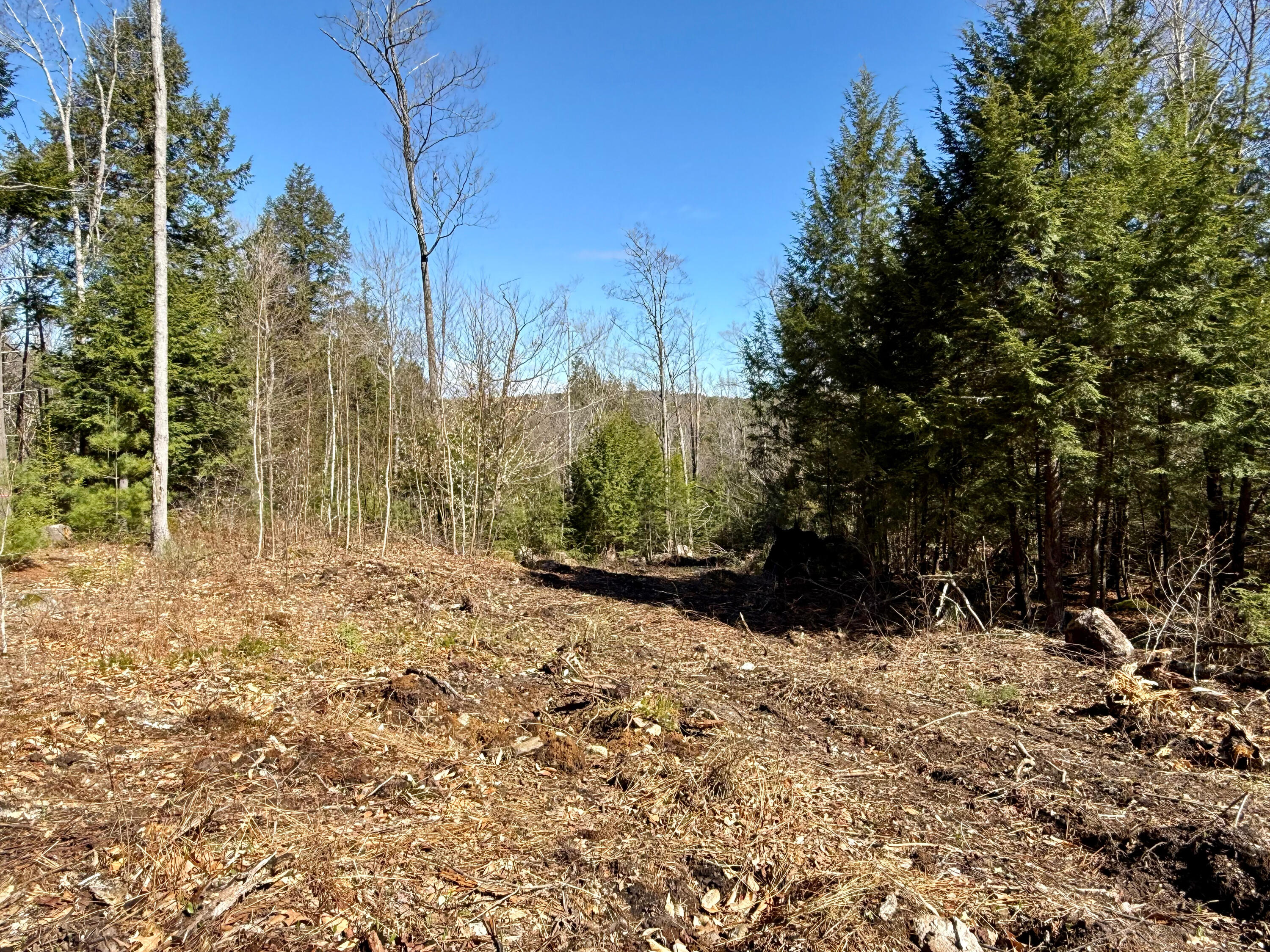 MAP8LOT53B Buckfield Road Paris ME 04271