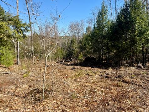 MAP8LOT53B Buckfield Road Paris ME 04271