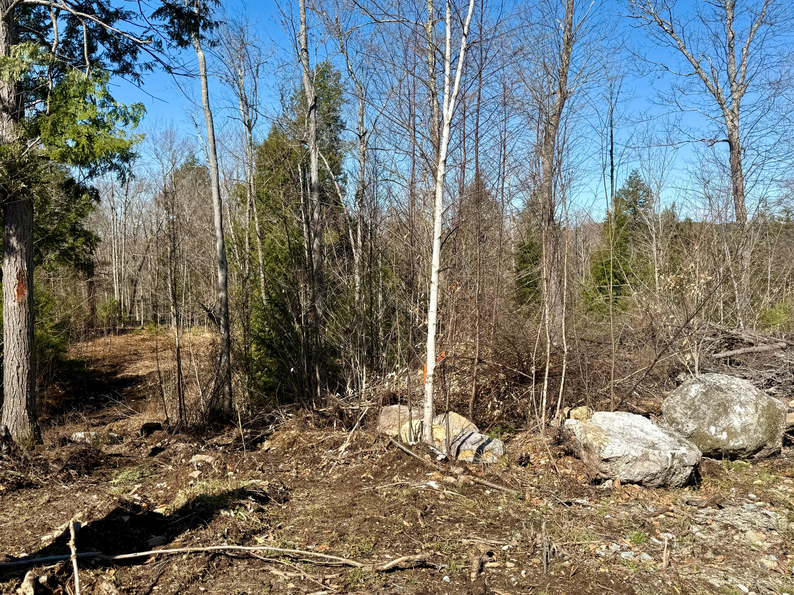 MAP8LOT53B Buckfield Road Paris ME 04271