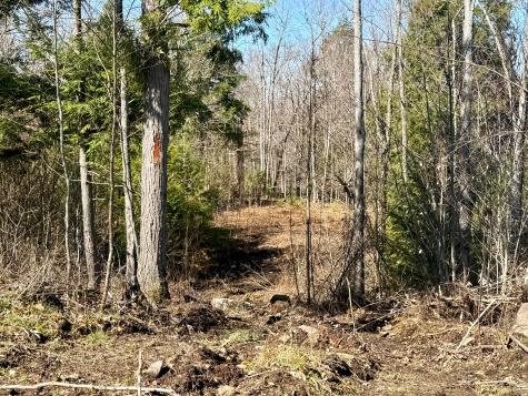 MAP8LOT53B Buckfield Road Paris ME 04271