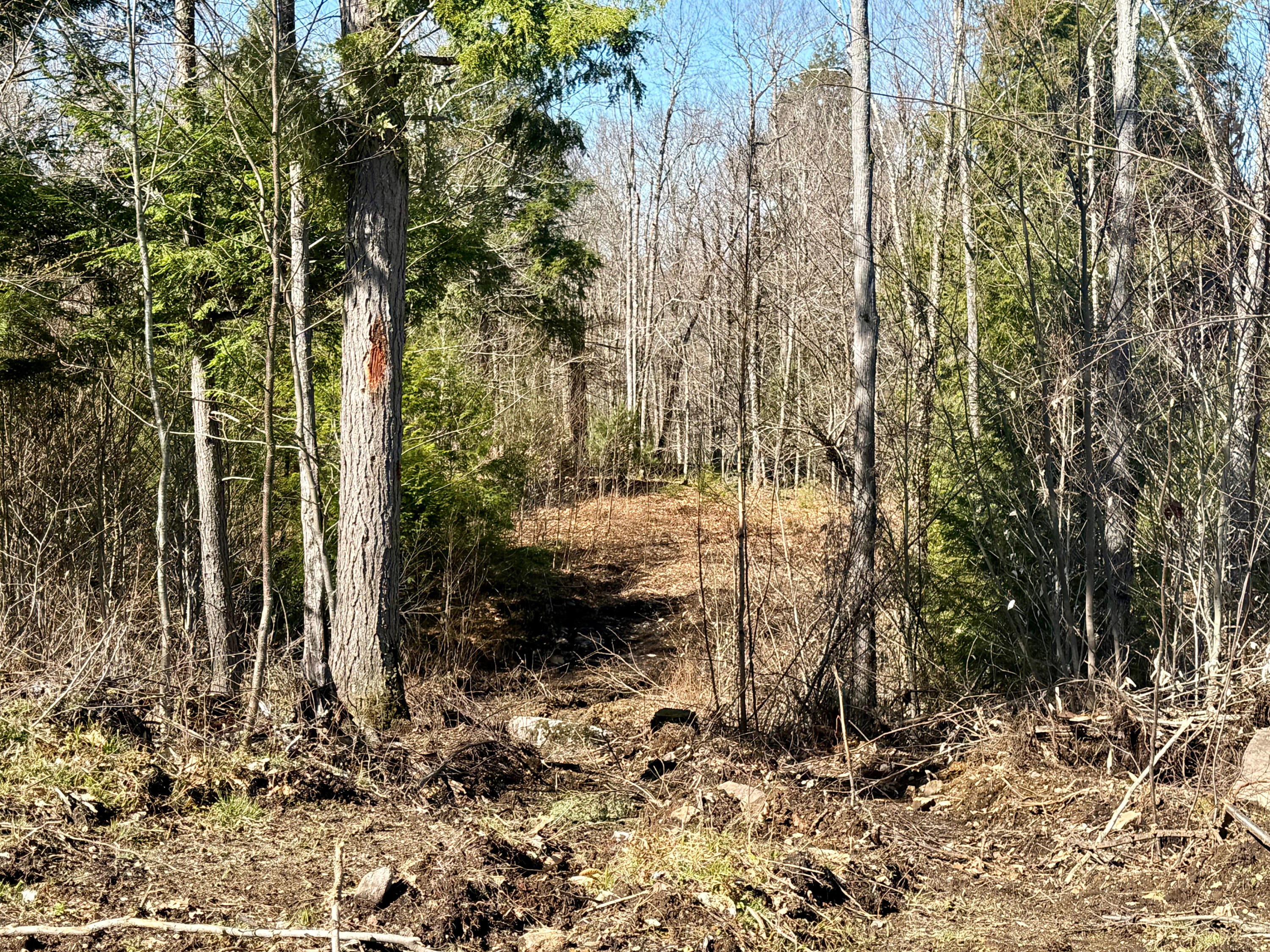 MAP8LOT53B Buckfield Road Paris ME 04271