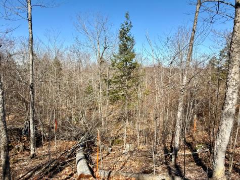 MAP8LOT53B Buckfield Road Paris ME 04271