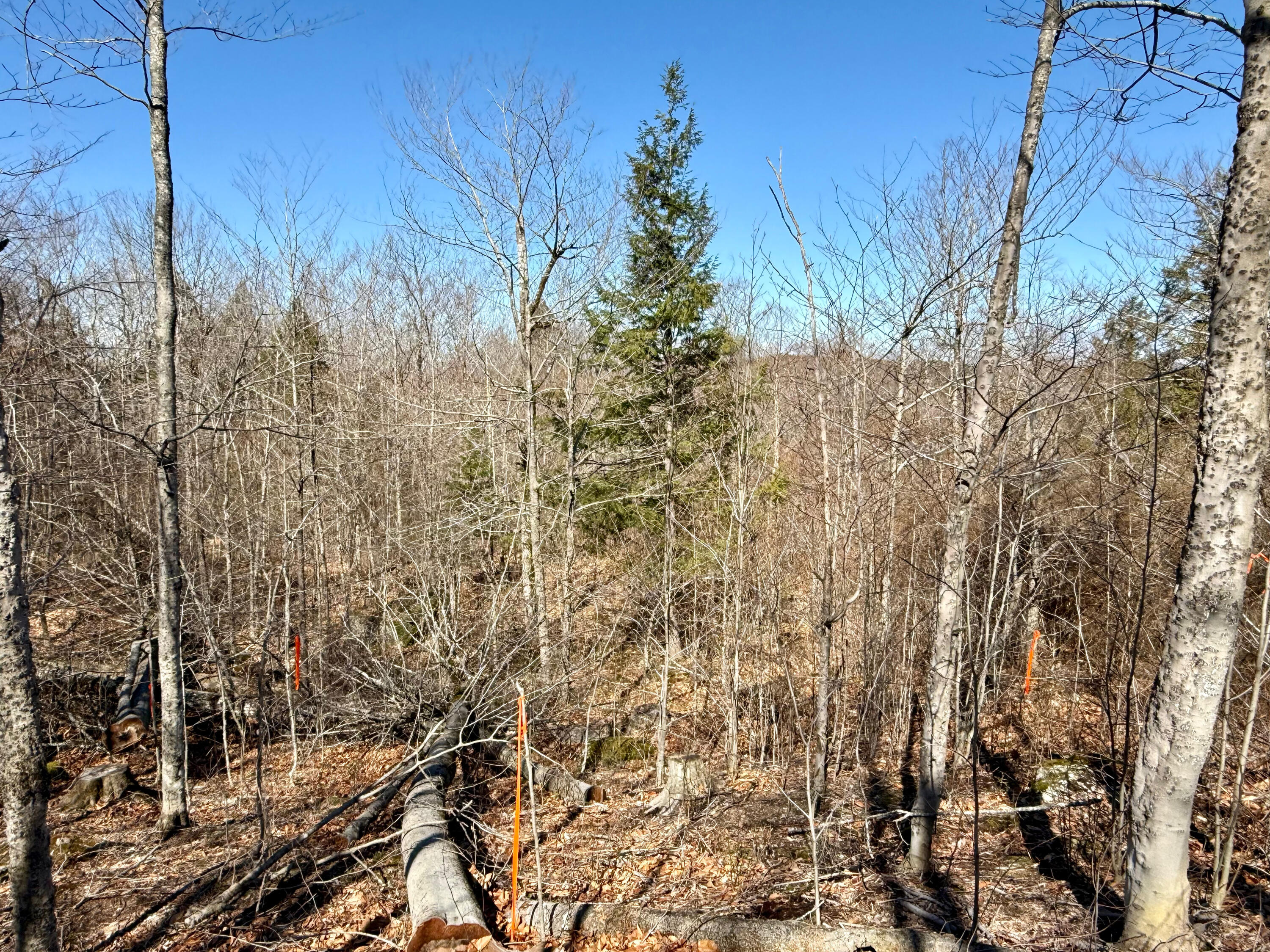 MAP8LOT53B Buckfield Road Paris ME 04271