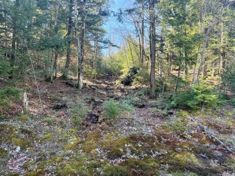 MAP8LOT53B Buckfield Road Paris ME 04271