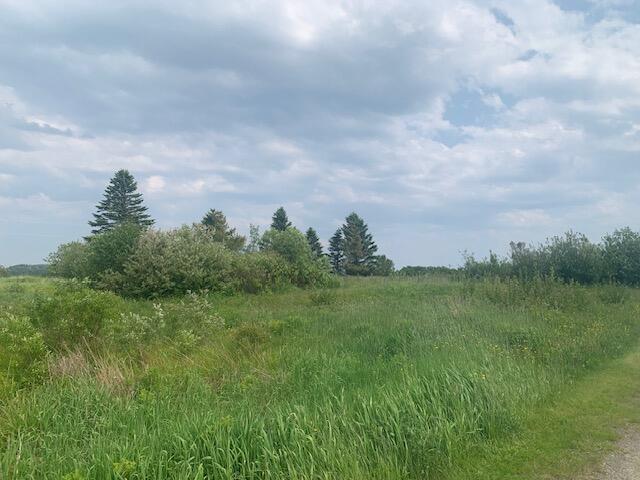 35 Lower Water Street Lubec ME 04652