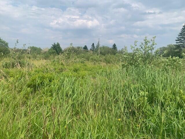 35 Lower Water Street Lubec ME 04652