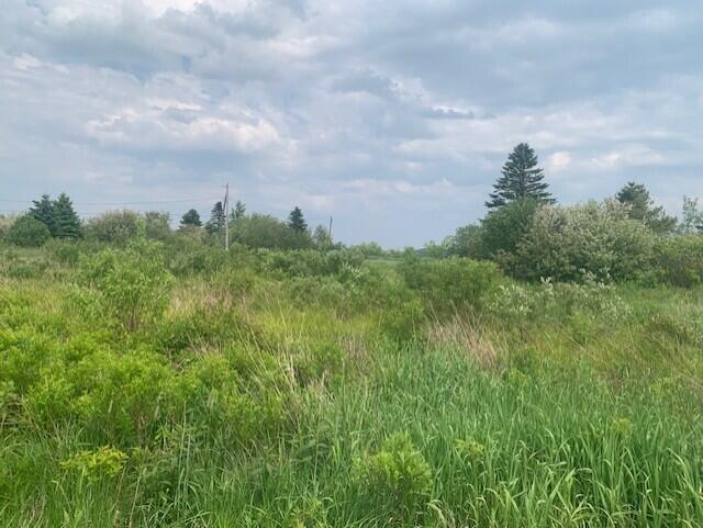 35 Lower Water Street Lubec ME 04652