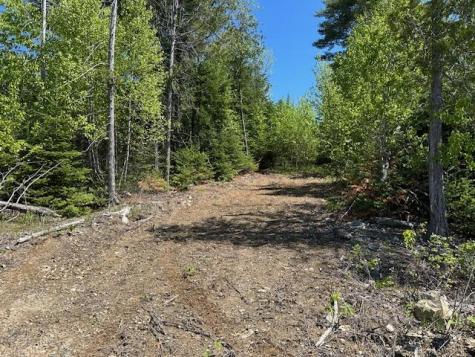 Lot 3 Mt. Jefferson Heights Lee ME 04455