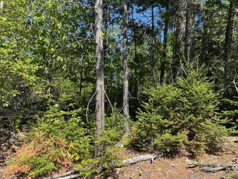 Lot 3 Mt. Jefferson Heights Lee ME 04455