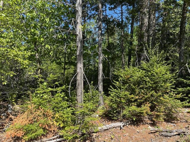 Lot 3 Mt. Jefferson Heights Lee ME 04455