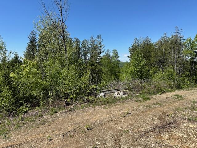 Lot 3 Mt. Jefferson Heights Lee ME 04455