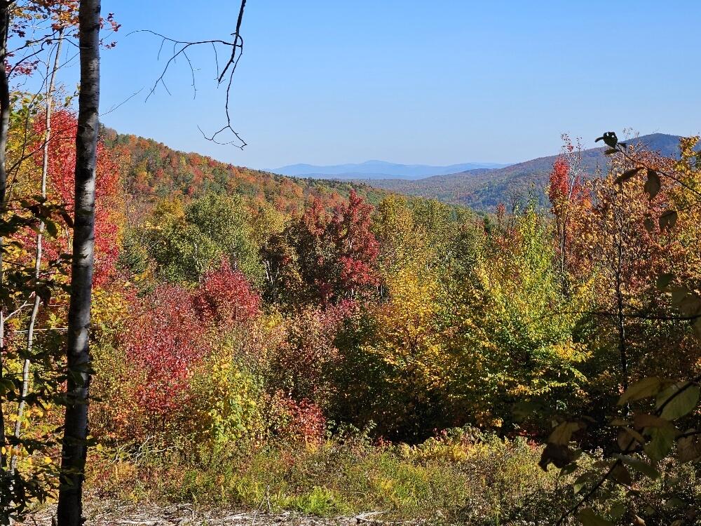 Lot 9 E Moose Alley Road Temple ME 04984