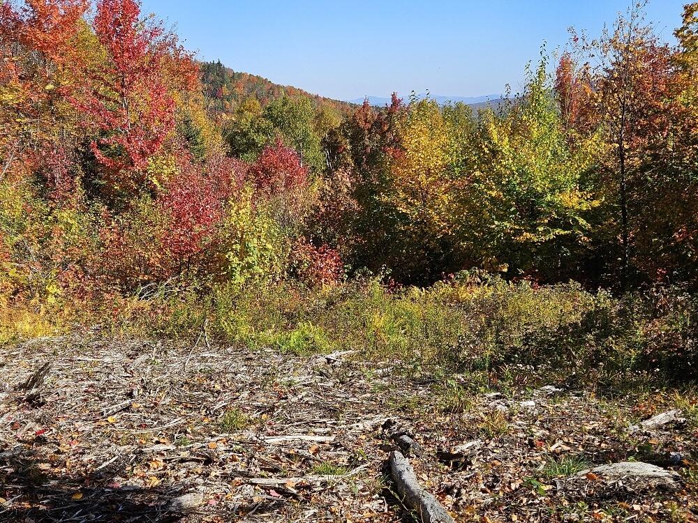 Lot 9 E Moose Alley Road Temple ME 04984