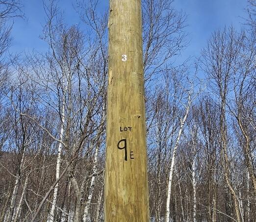 Lot 9 E Moose Alley Road Temple ME 04984