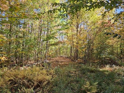 Lot 9 E Moose Alley Road Temple ME 04984