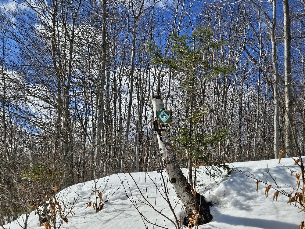 Lot 9 E Moose Alley Road Temple ME 04984