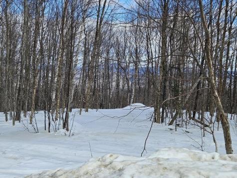 Lot 9 E Moose Alley Road Temple ME 04984
