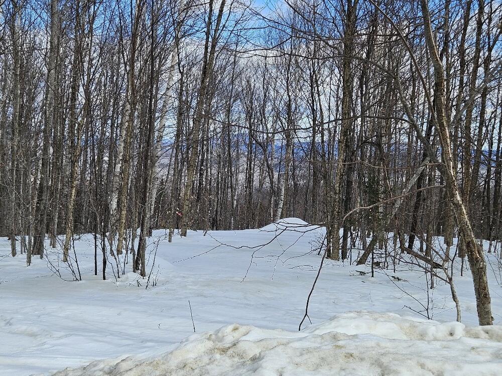 Lot 9 E Moose Alley Road Temple ME 04984