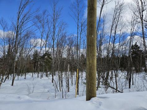 Lot 9 E Moose Alley Road Temple ME 04984