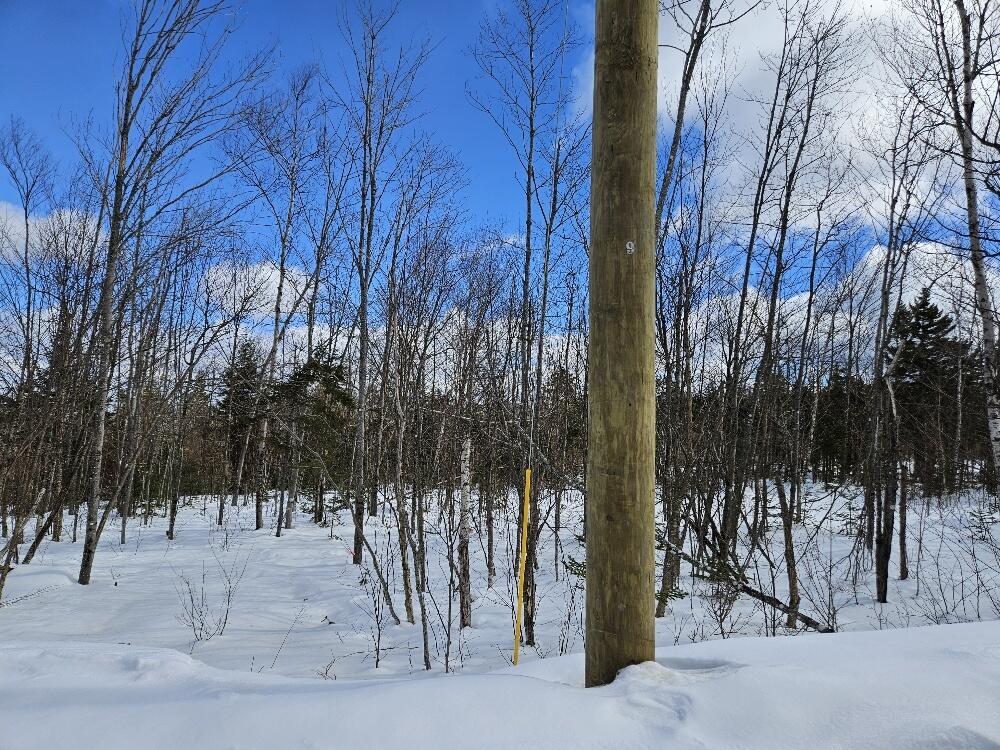 Lot 9 E Moose Alley Road Temple ME 04984