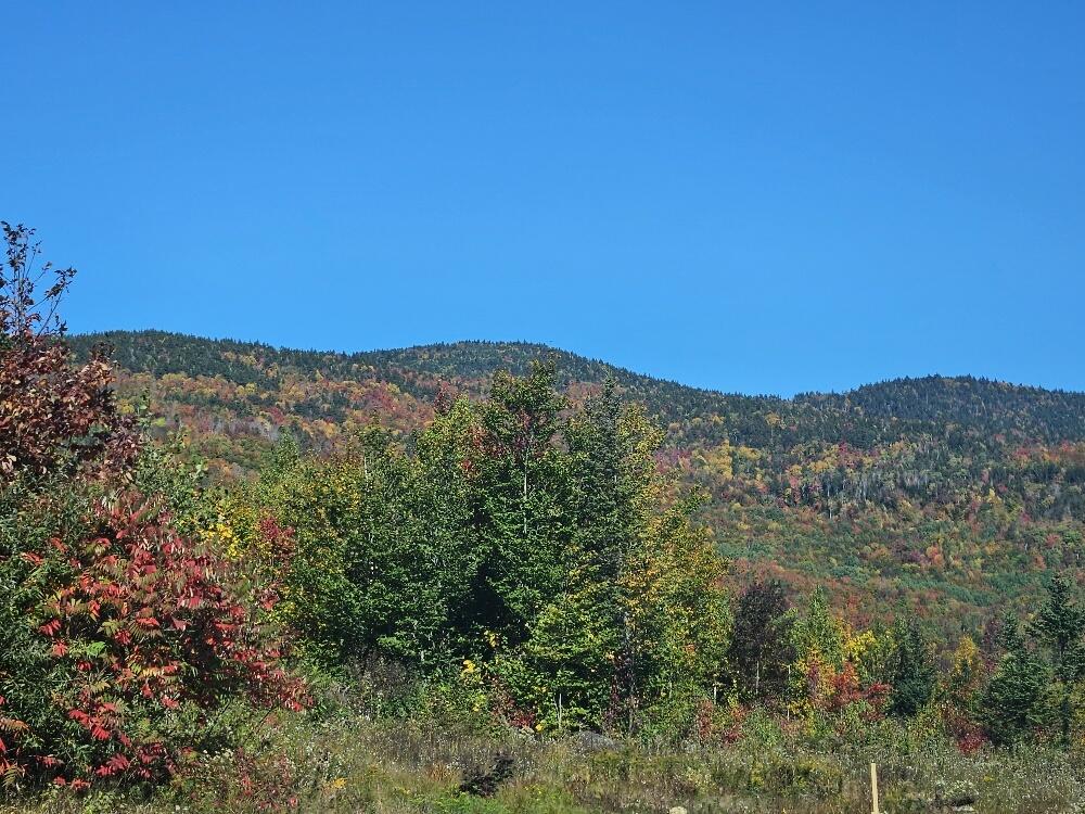 Lot 9 E Moose Alley Road Temple ME 04984
