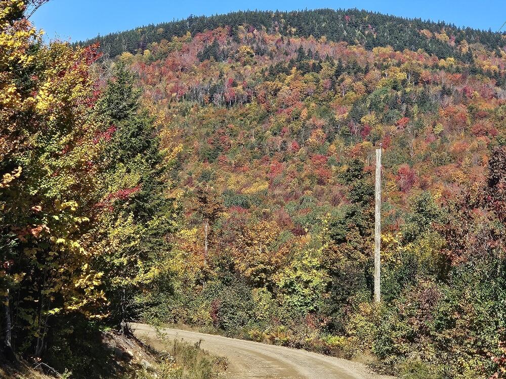 Lot 9 E Moose Alley Road Temple ME 04984