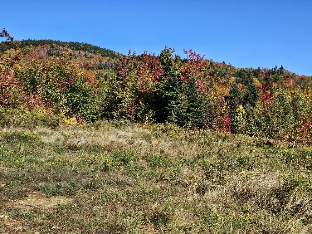 Lot 9 E Moose Alley Road Temple ME 04984