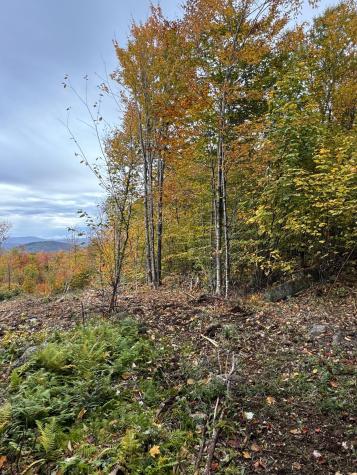 Lot 9 E Moose Alley Road Temple ME 04984