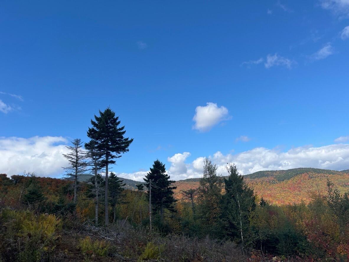 Lot 9 E Moose Alley Road Temple ME 04984
