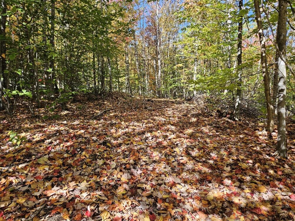 Lot 9 E Moose Alley Road Temple ME 04984
