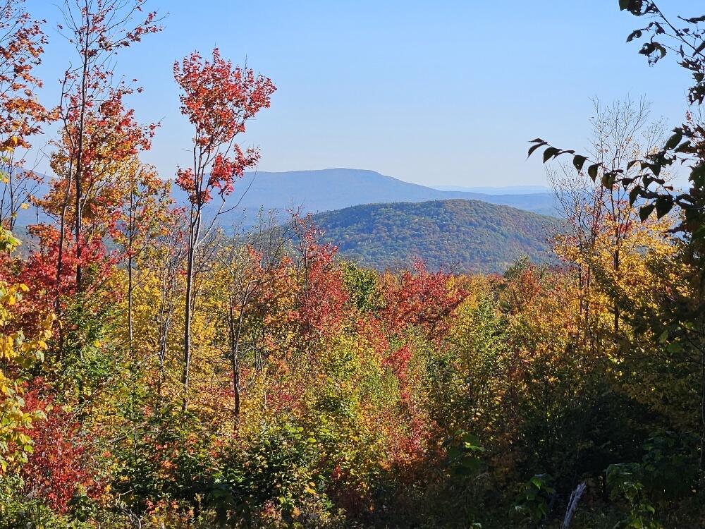 Lot 9 E Moose Alley Road Temple ME 04984