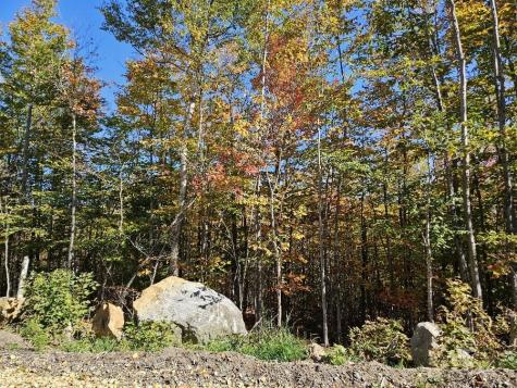 Lot 9 E Moose Alley Road Temple ME 04984