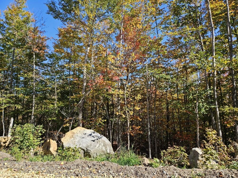 Lot 9 E Moose Alley Road Temple ME 04984