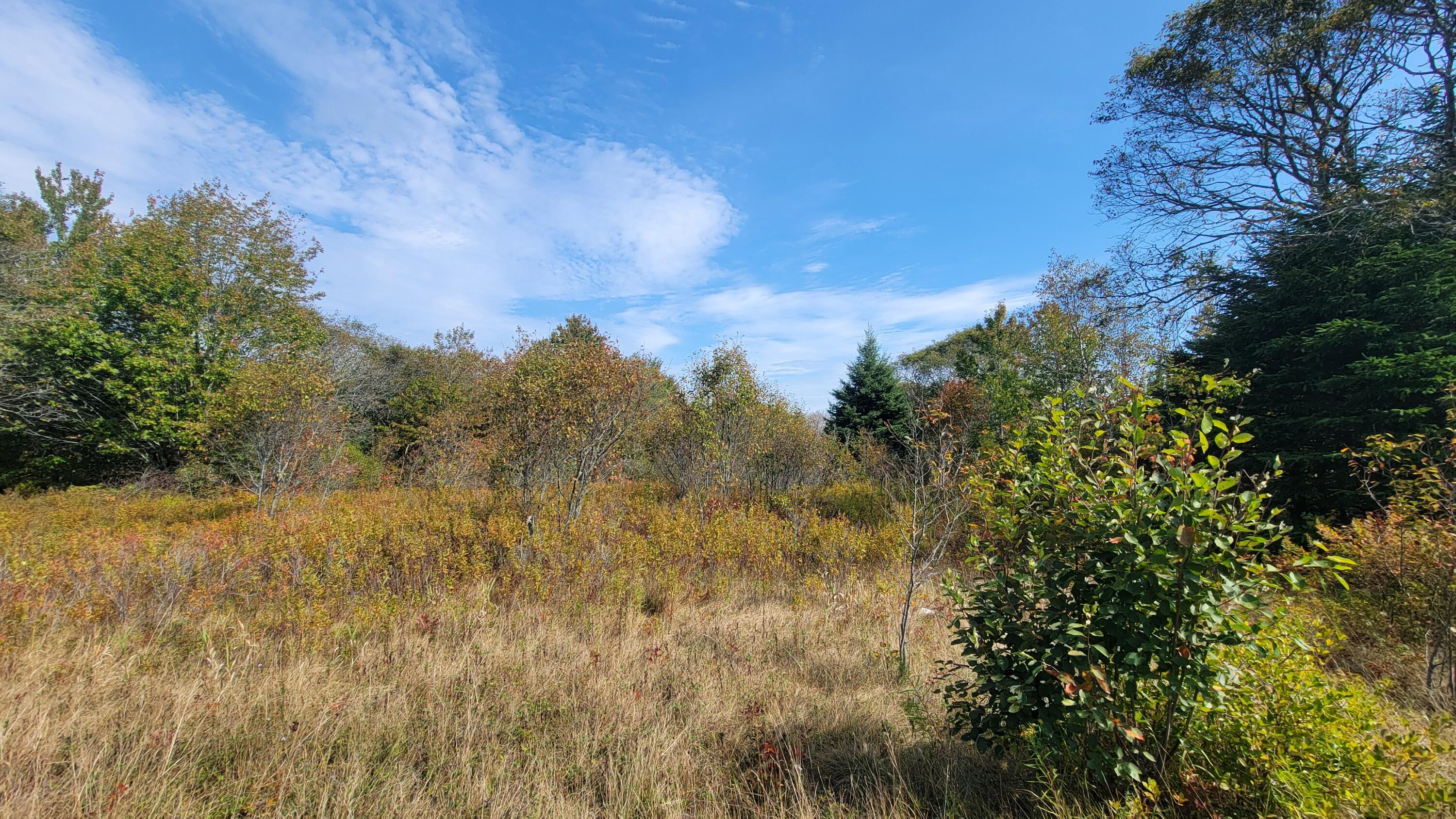 7 Deerfield Drive Jonesport ME 04649