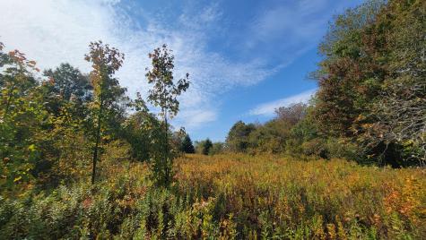 7 Deerfield Drive Jonesport ME 04649