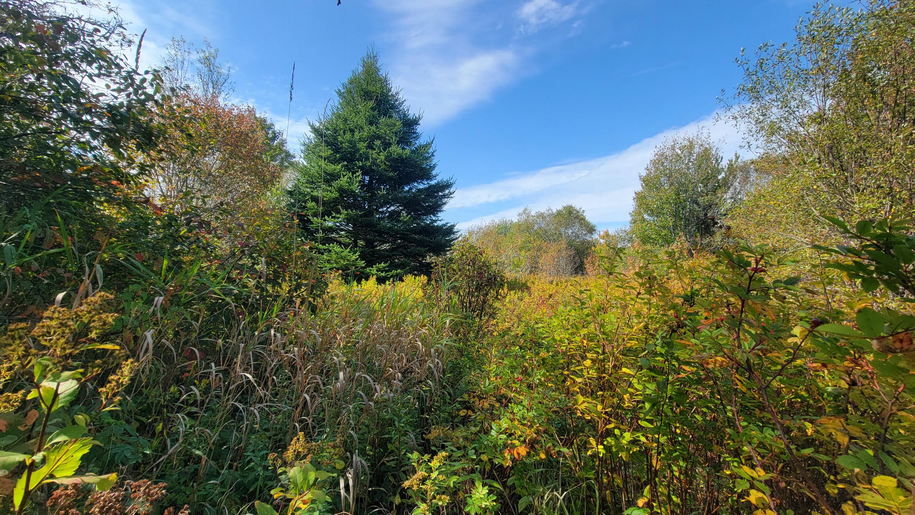 7 Deerfield Drive Jonesport ME 04649