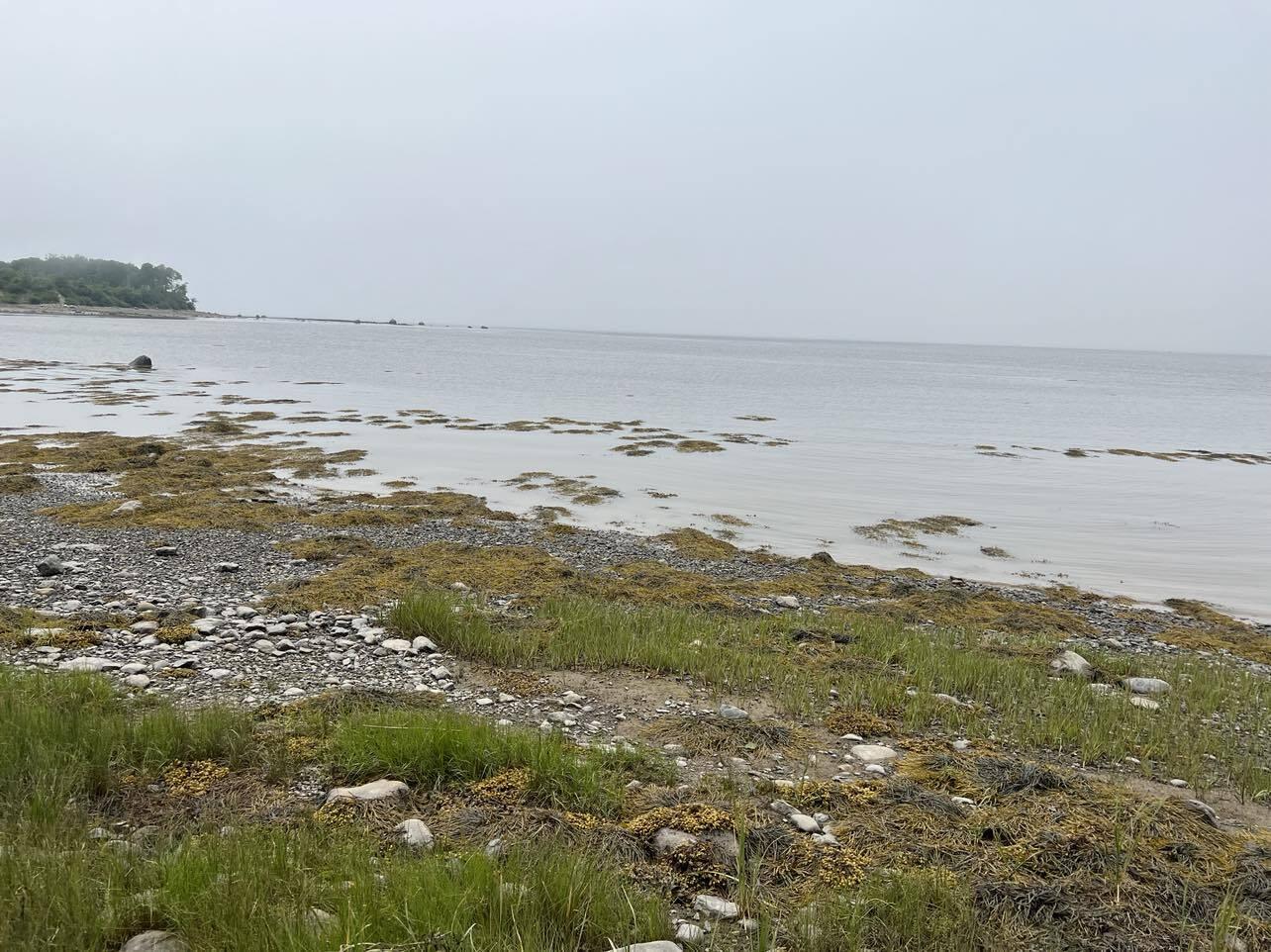 24 Annie's Way Addison ME 04606