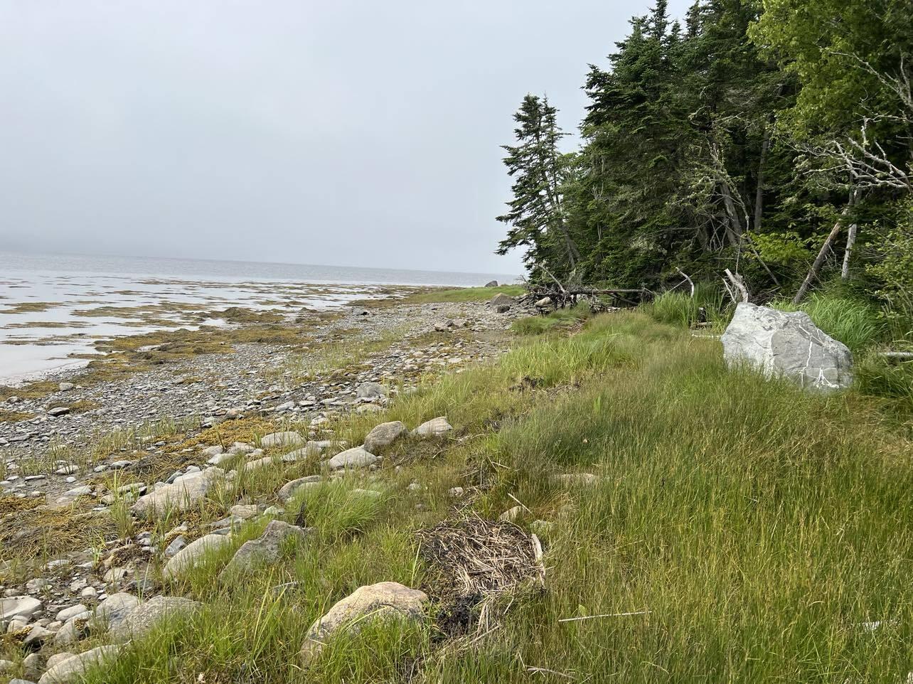 24 Annie's Way Addison ME 04606