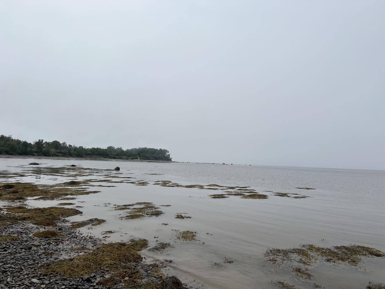 24 Annie's Way Addison ME 04606