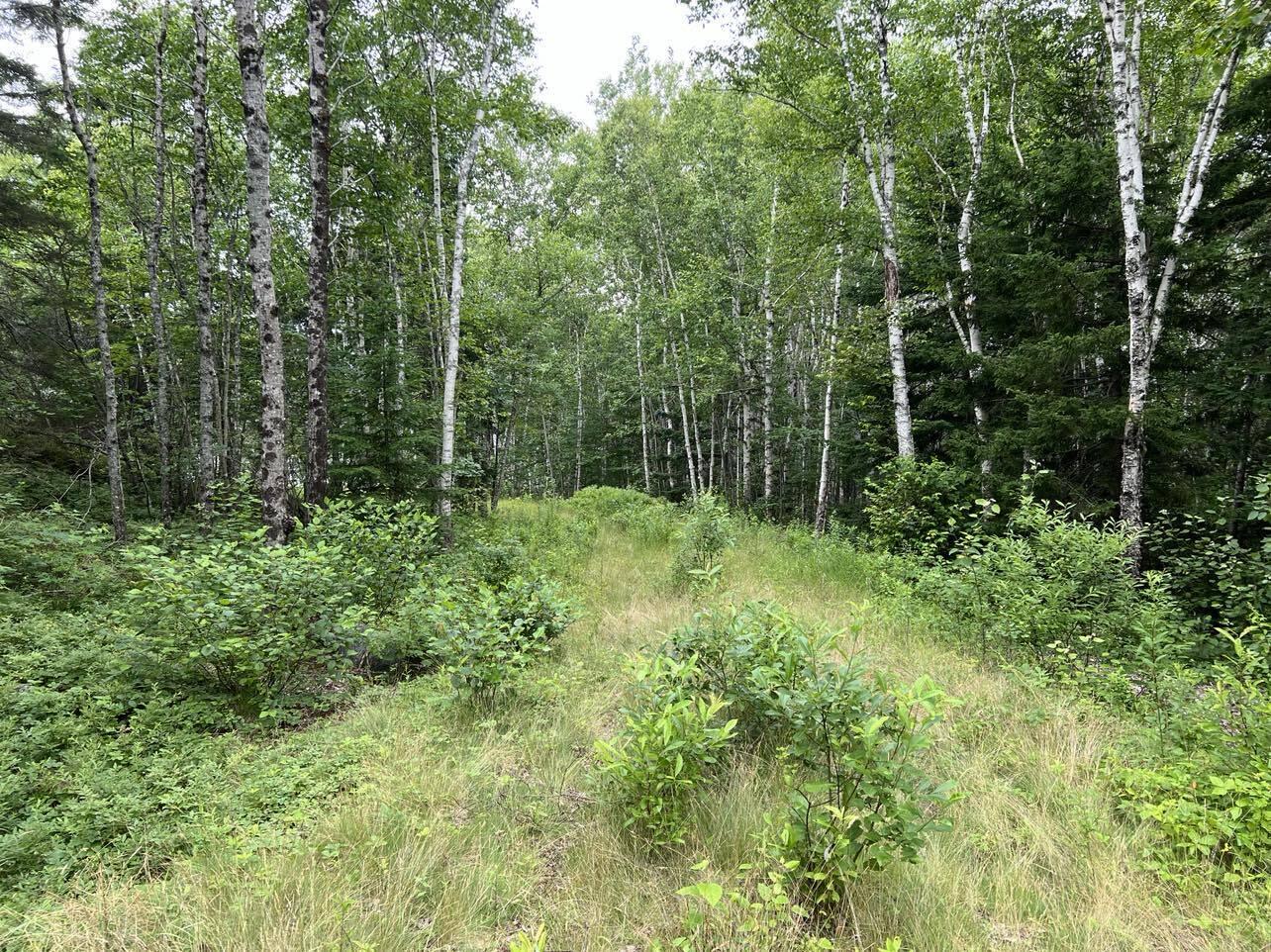 24 Annie's Way Addison ME 04606