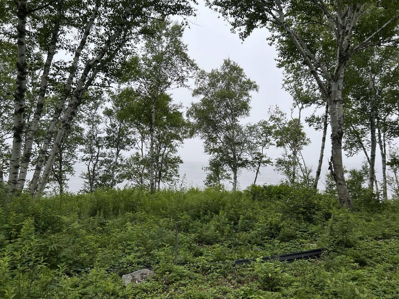 24 Annie's Way Addison ME 04606