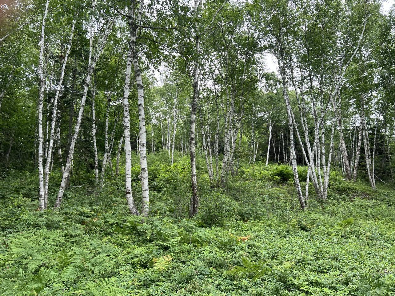 24 Annie's Way Addison ME 04606