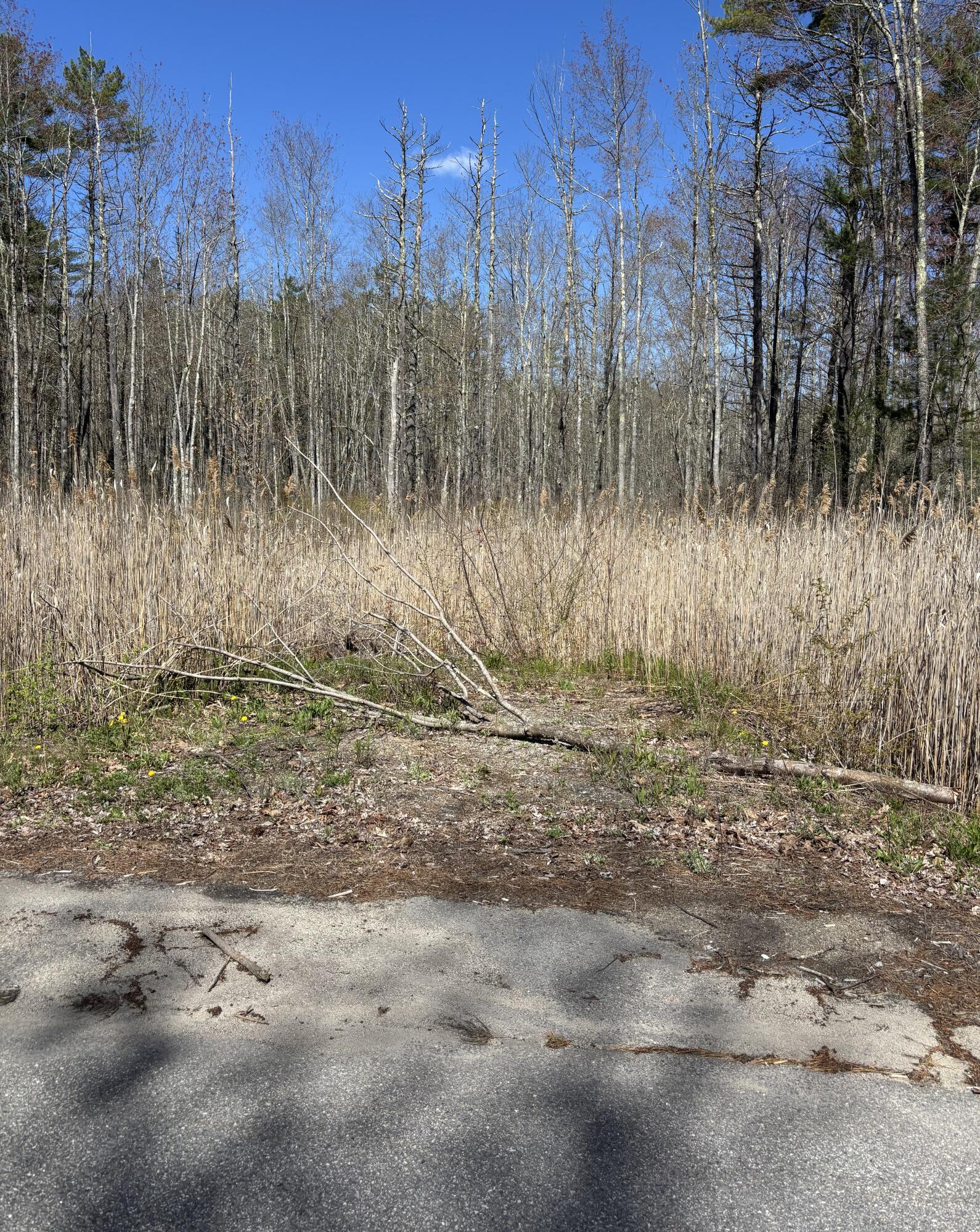 15 Woodhaven Drive Kennebunk ME 04043