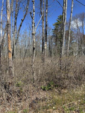 15 Woodhaven Drive Kennebunk ME 04043