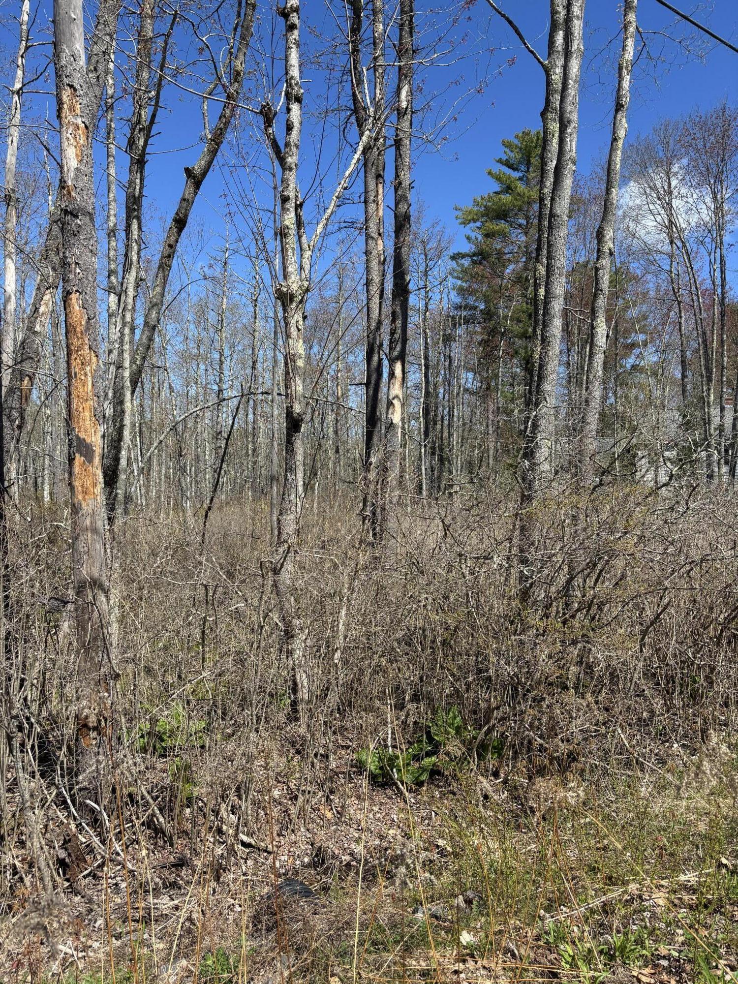 15 Woodhaven Drive Kennebunk ME 04043